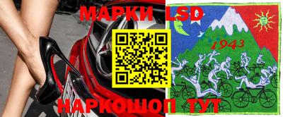 амф Камышлов