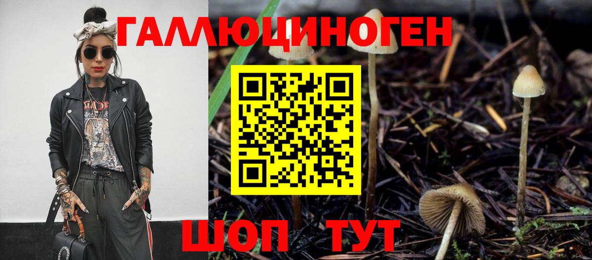 Псилоцибиновые грибы Magic Shrooms  Псилоцибиновые грибы ЛСД  Вход с VPN  Кузнецк 